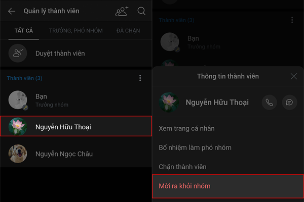 giải tán nhóm zalo