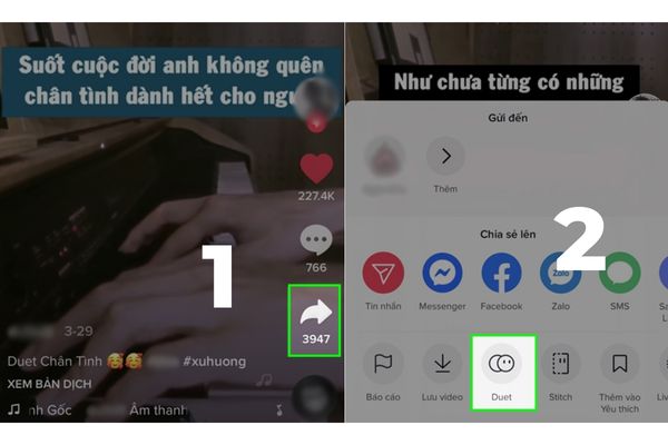 duet trên tiktok là gì