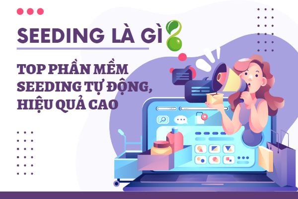 Seeding là gì