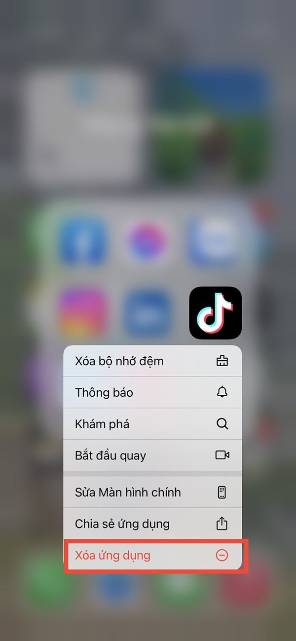 Nhấn và giữ ứng dụng Tiktok trên màn hình thiết bị của bạn