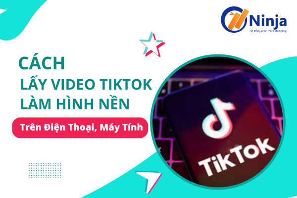 video tiktok làm hình nền