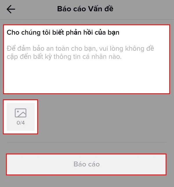 Báo cáo vấn đề