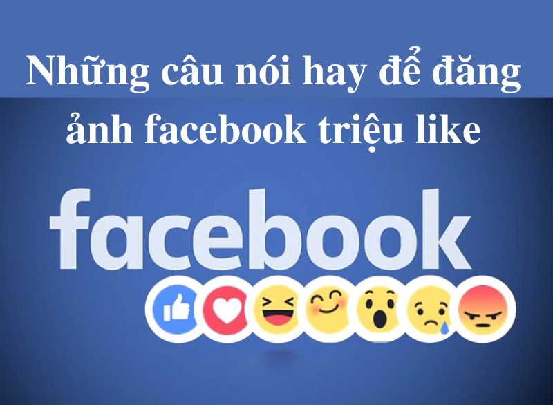 100 câu status câu view hấp dẫn trên facebook