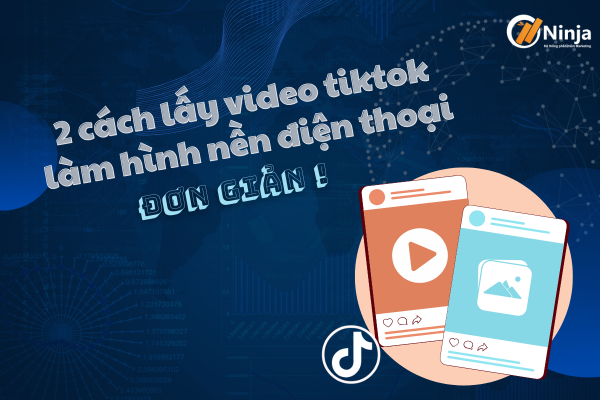 video TikTok làm hình nền